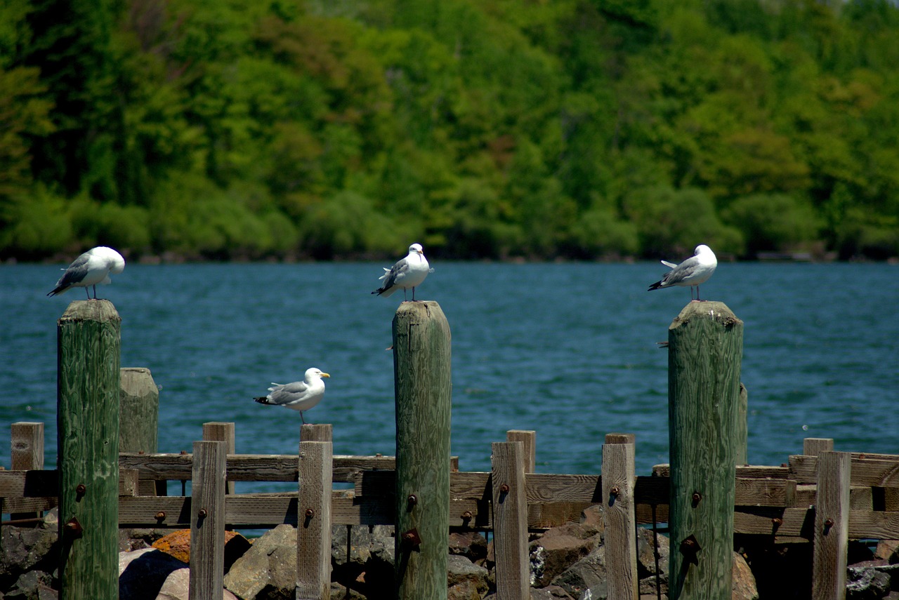 Kenosha, Wisconsin